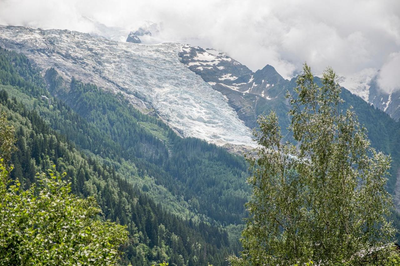 Au Coeur Du Glacier Apartamento Chamonix Mont Blanc
